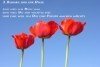 3 Blumen f&uuml;r Dich