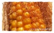 herbstliche e-Card