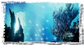 Unterwasserwelt