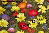 Frohe Ostern