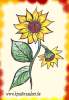 Sonnenblumenpost