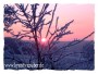 Winterabend