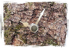naturmaterial basteln